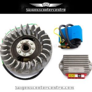 12v ac electronic ignition kit including cdi unit and regulator.